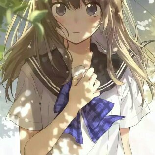 淺草菡