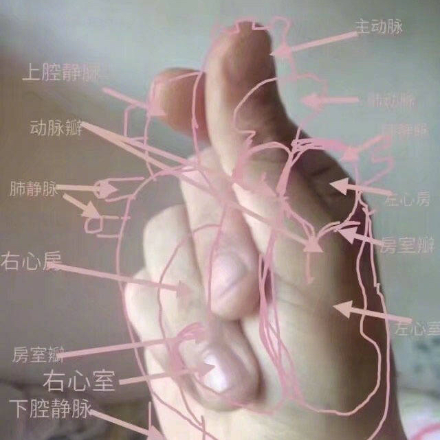 筆尖的手術刀