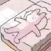 郡顏