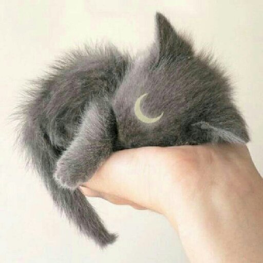 一夢歐皇