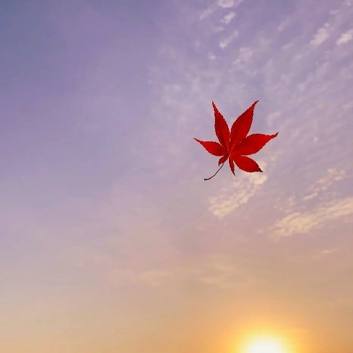 糖醋十一