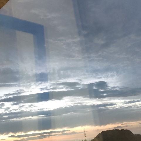 森箬