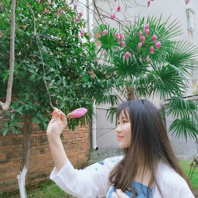 不吃甜的嫻嫻
