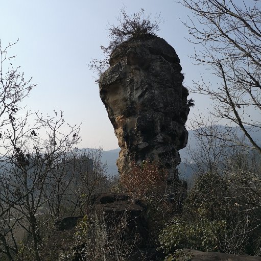 搞怪蟲