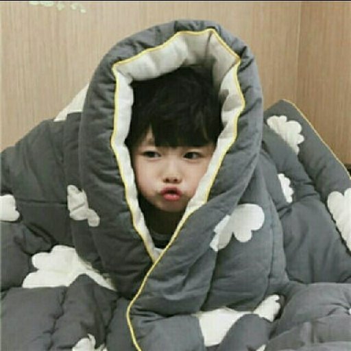 麻煩的蘇木.