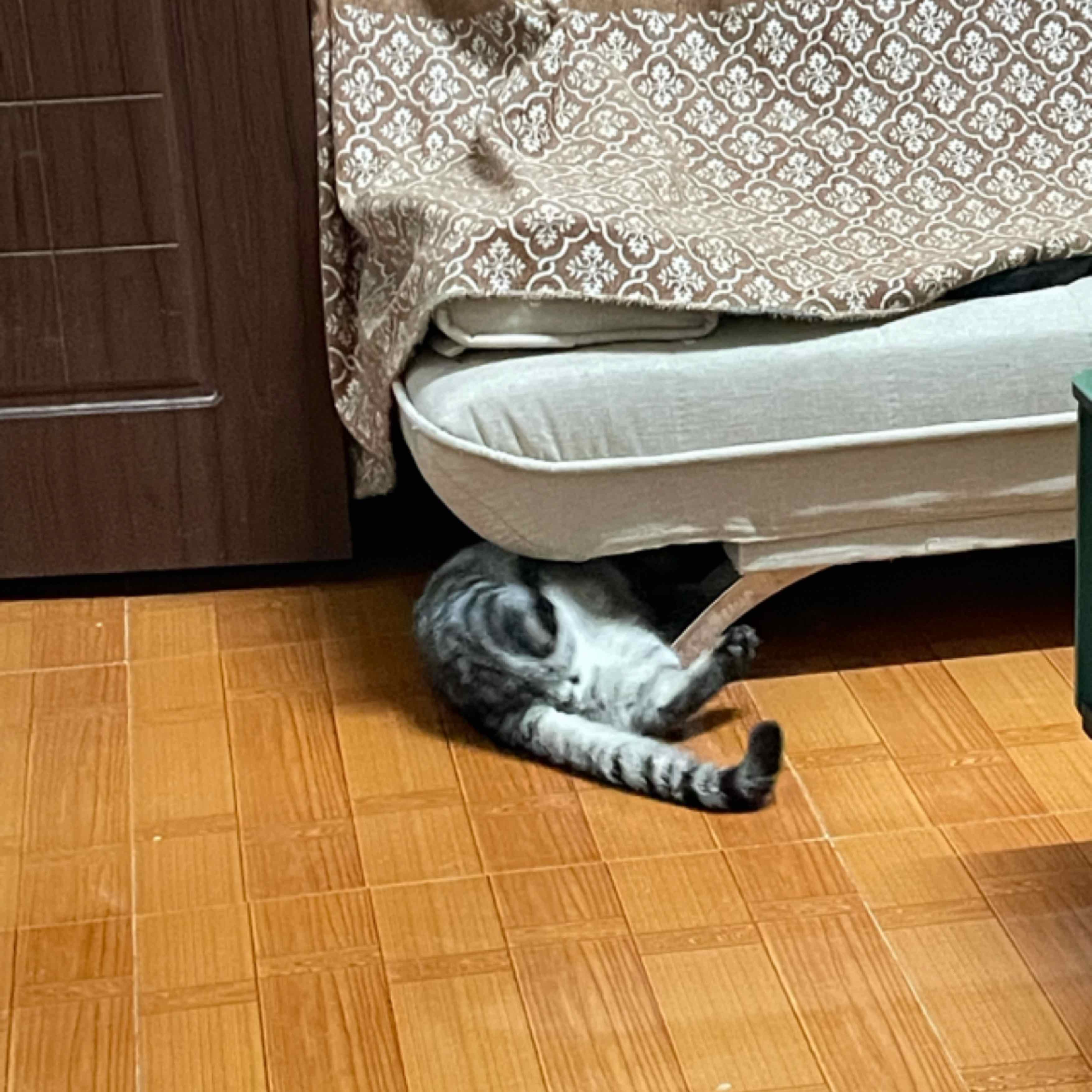 荔紀(jì)