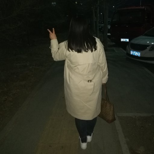 半老夫子