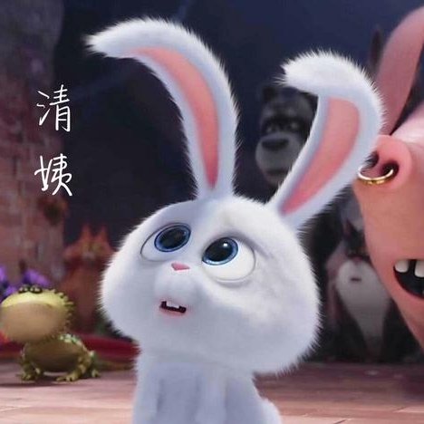醉眼看白兔