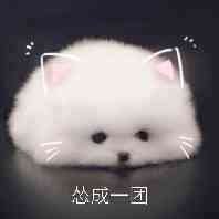 木子曉狼
