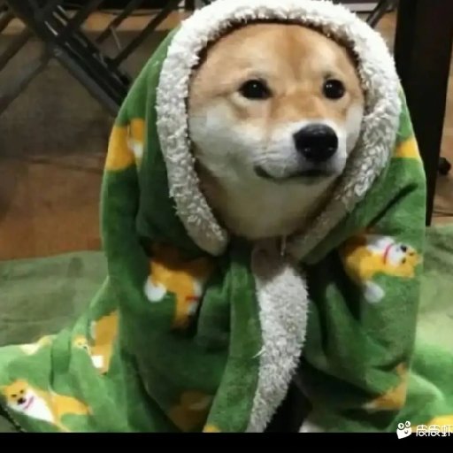 我是大瓶子呀