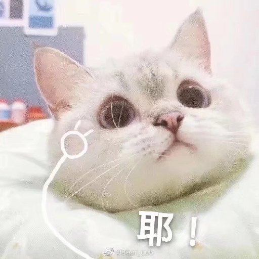 北之下為南