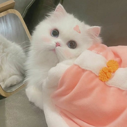卿余笙