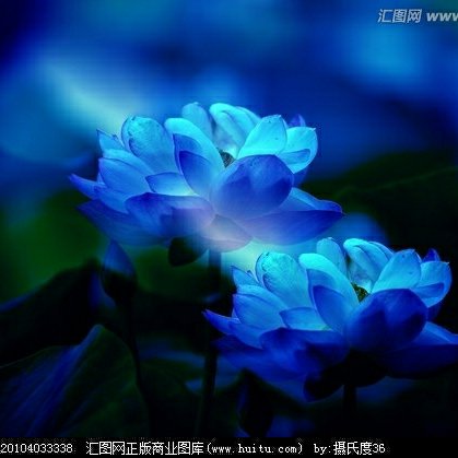 香已燃起