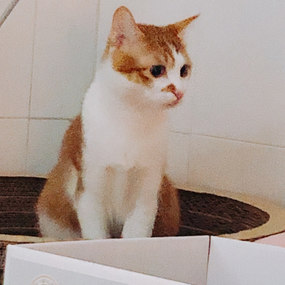 聆行