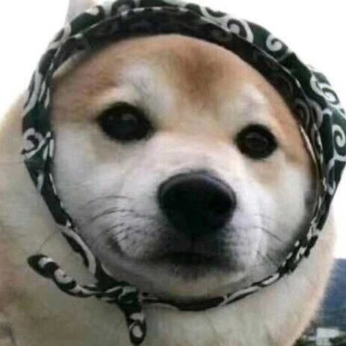 王三一三王