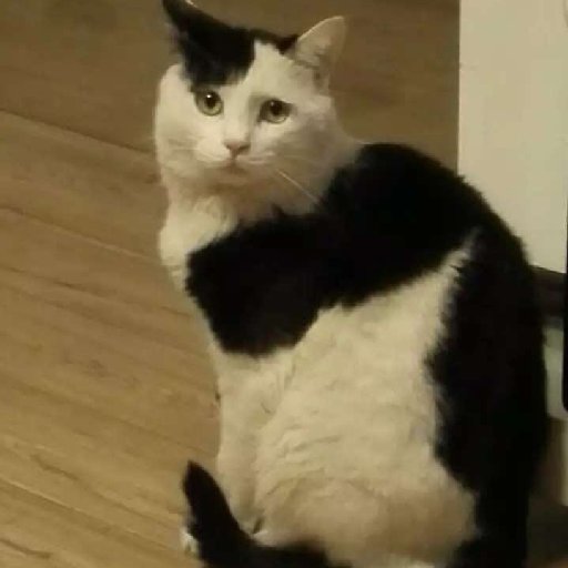 城中不良人