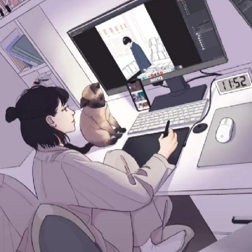 白五五