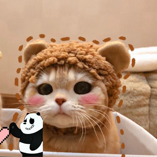 辭淇