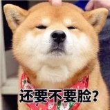 歲月之流