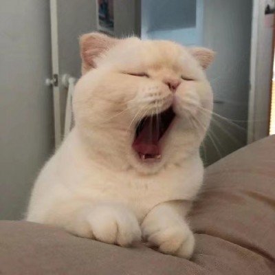 自知自明