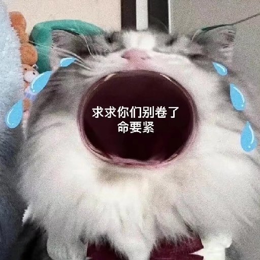 爆汁魚丸