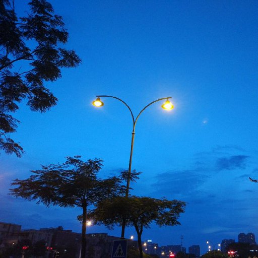 會算命的安安