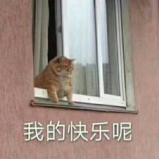 雁籽一
