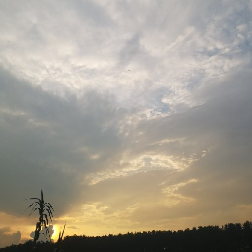 一牧晚城風(fēng)