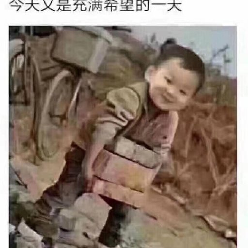 游夢大蝦
