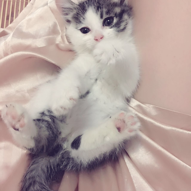 淺笑迷人