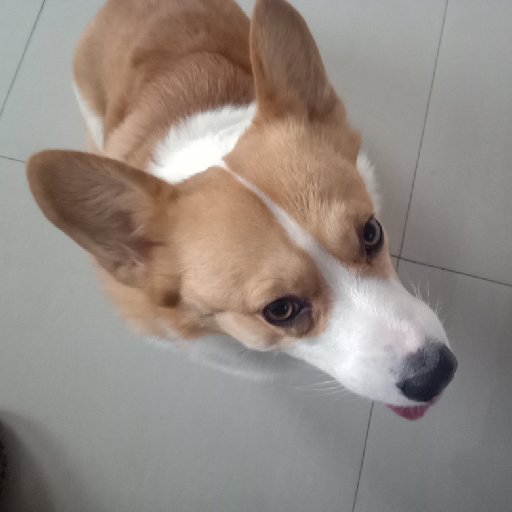 大小布衣