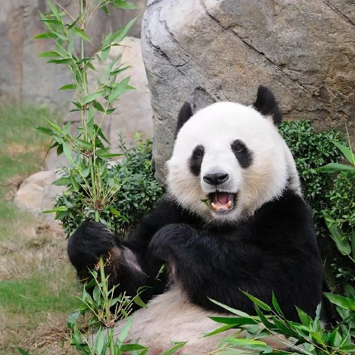 孫來也