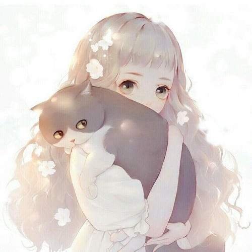 美人騎士