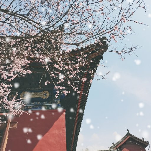譯元