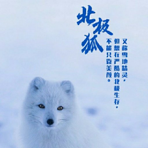 清風憂藍