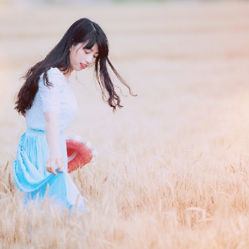 蝴蝶麗麗