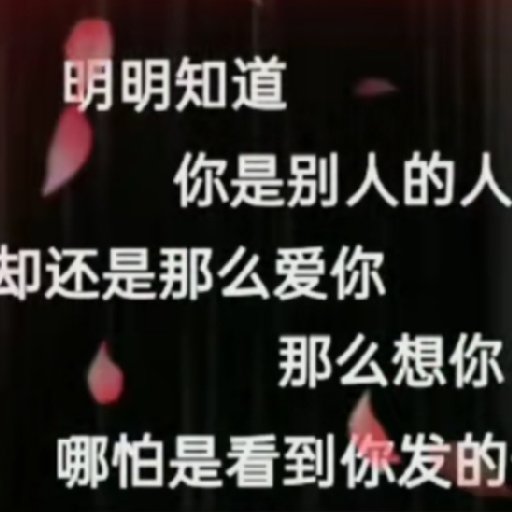 小石頭夜羽