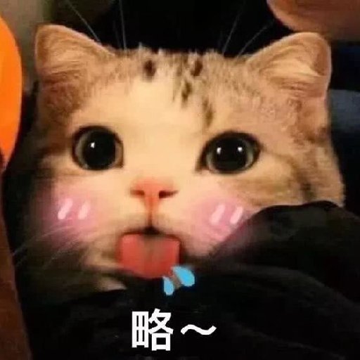 青羽之魚