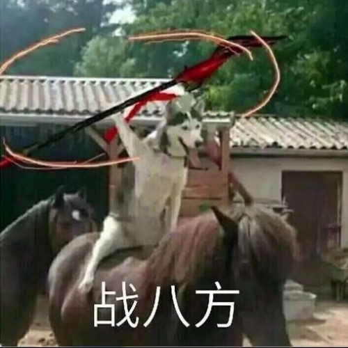 傾天君