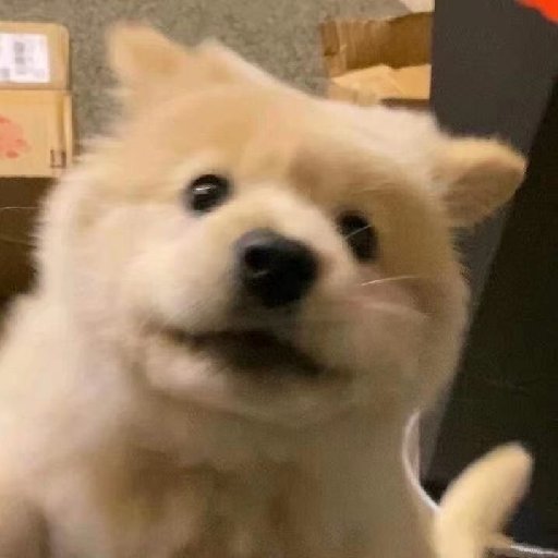 砂苑蒺藜