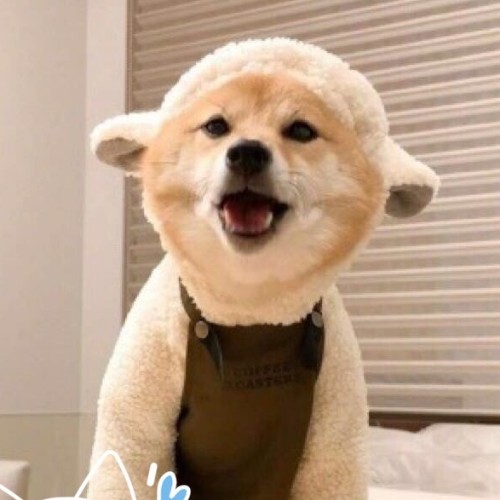甜甜的元一