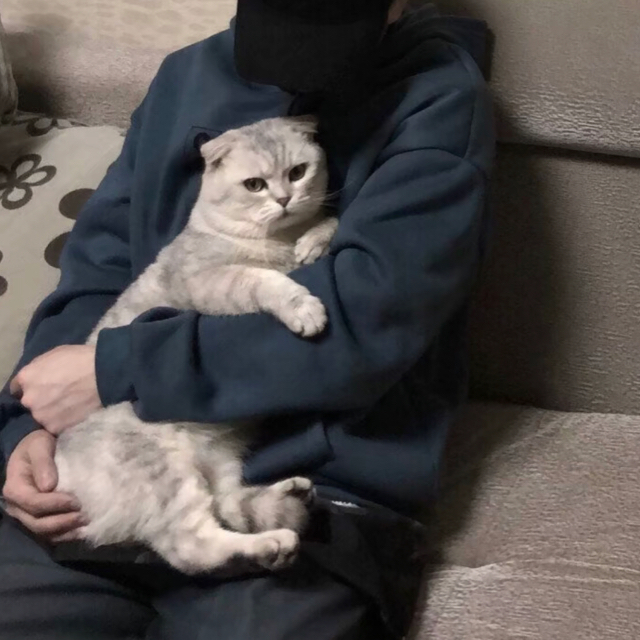 沈蒼
