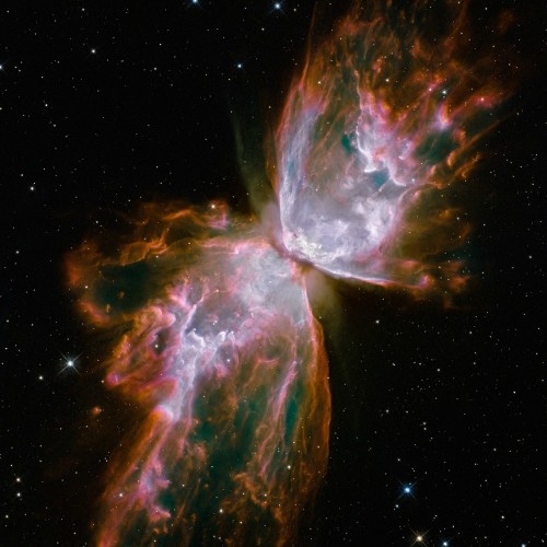 蝶狀星云