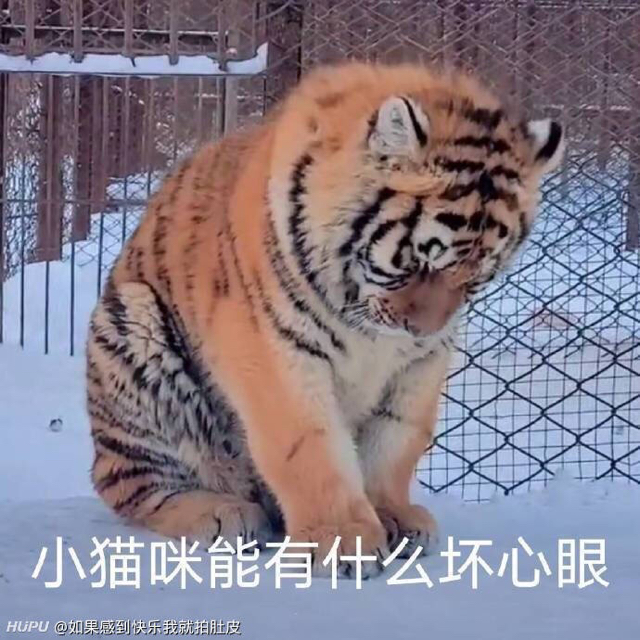 陳由己