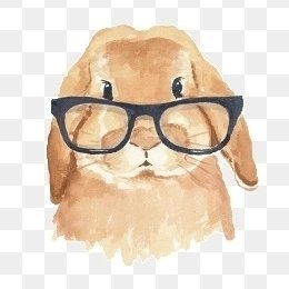 單向線的人