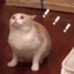 亂七八蕉