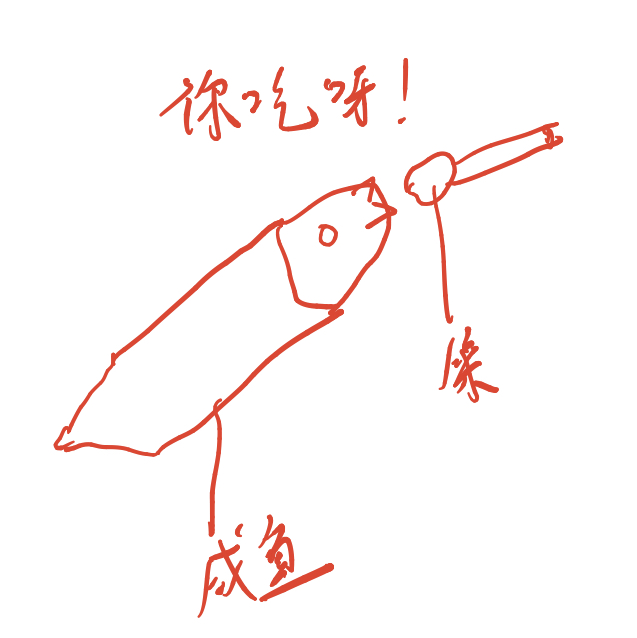 咸魚吃泡菜