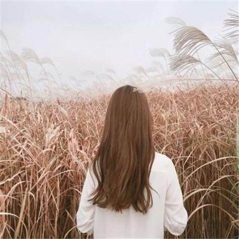 一夢歸真
