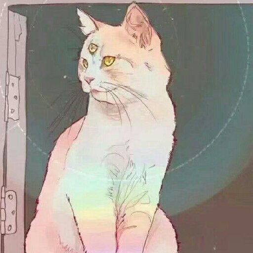 爆炒芒果貝