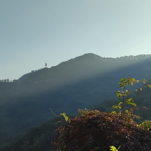 忽然頓悟